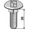 Boulon à tête bombée - galvanisé - AG008894