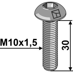 Boulon à tête bombée M10x1,5x30 avec six pans creux