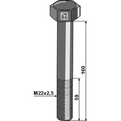 Boulon à tête hexagonale M22x2,5x160 sans écrou