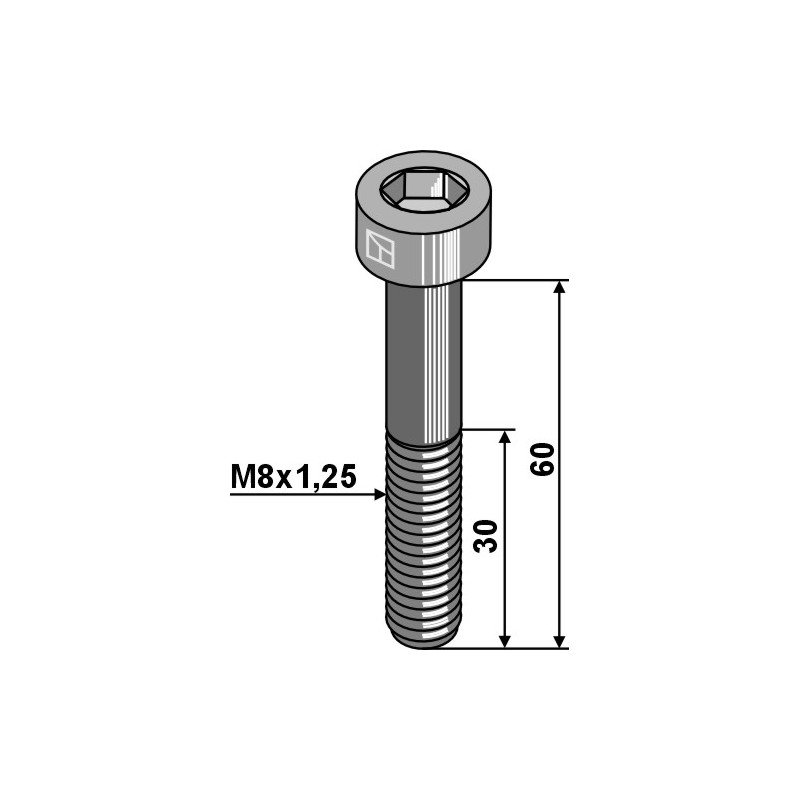 Boulon à 6 pans creux M8x1,25x60 - Galvanisées