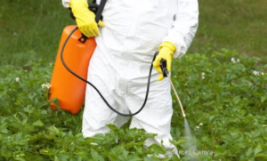 herbicide